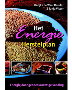 Het Energie Herstelplan